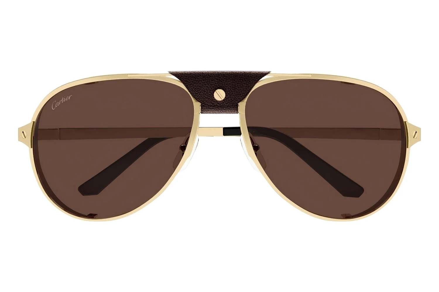 Cartier CT0296S 005