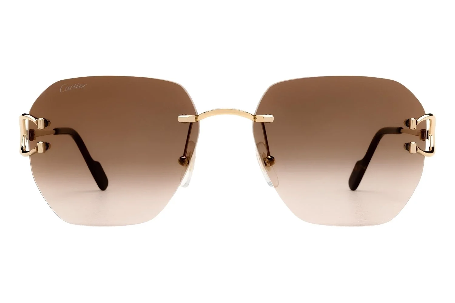 Cartier CT0394S 002