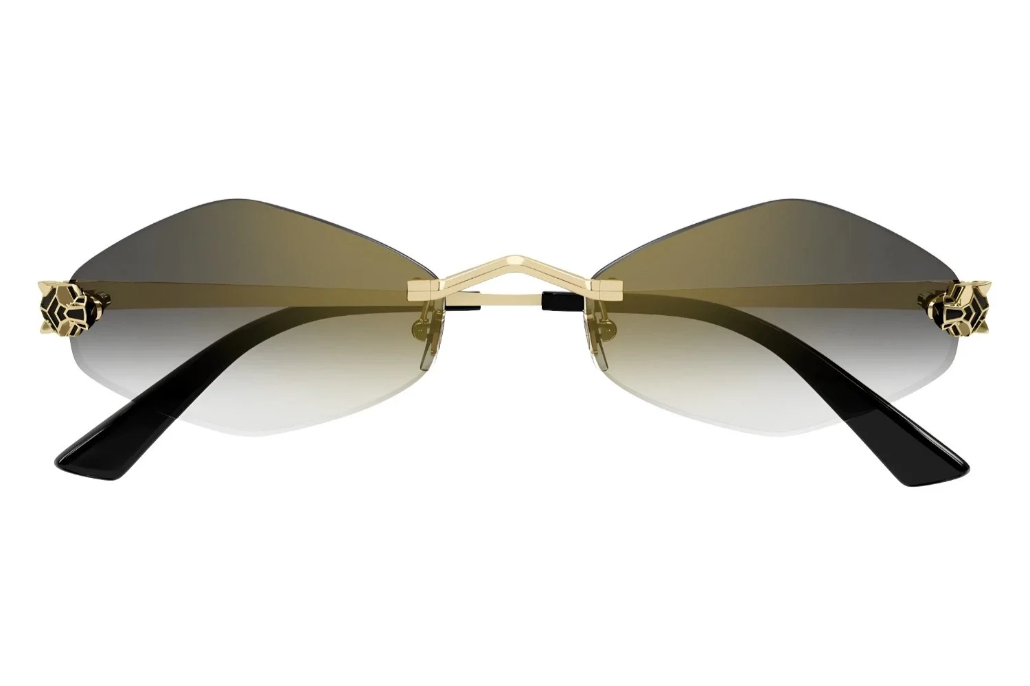 Cartier CT0433S 001