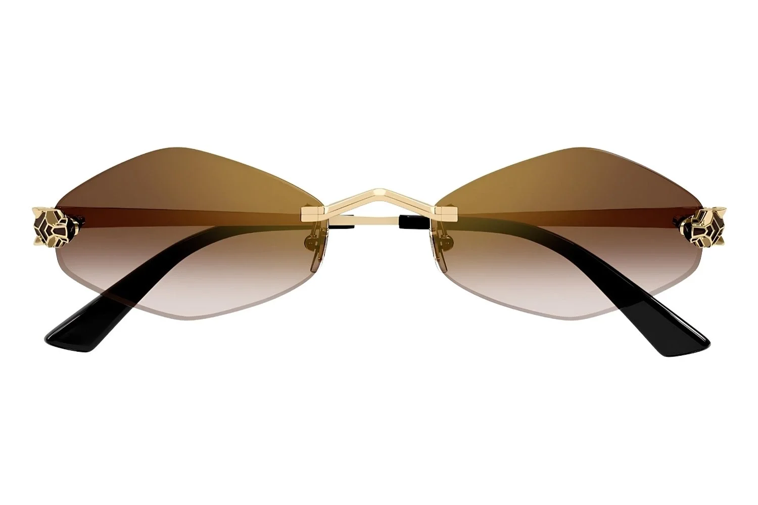 Cartier CT0433S 002
