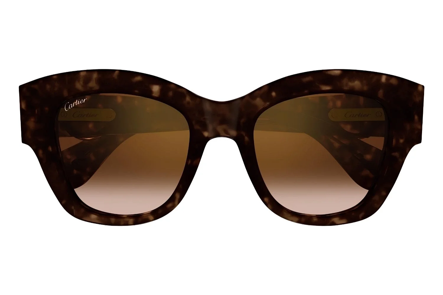Cartier CT0547S 002