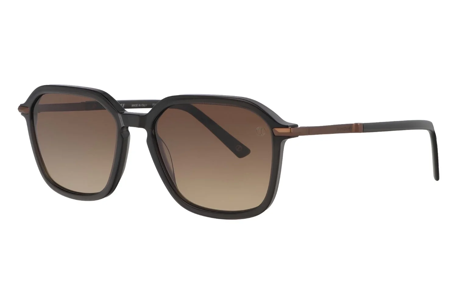 Davidoff DAPS 109 02 Unisex Güneş Gözlüğü - 1