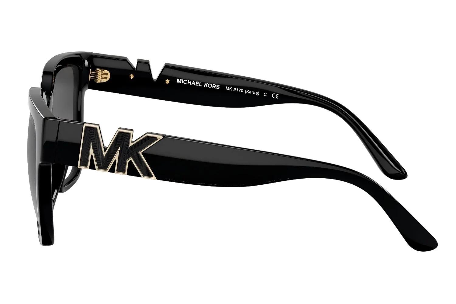 Michael Kors MK 0MK2170U 30058G 54 Kadın Güneş Gözlüğü - 2