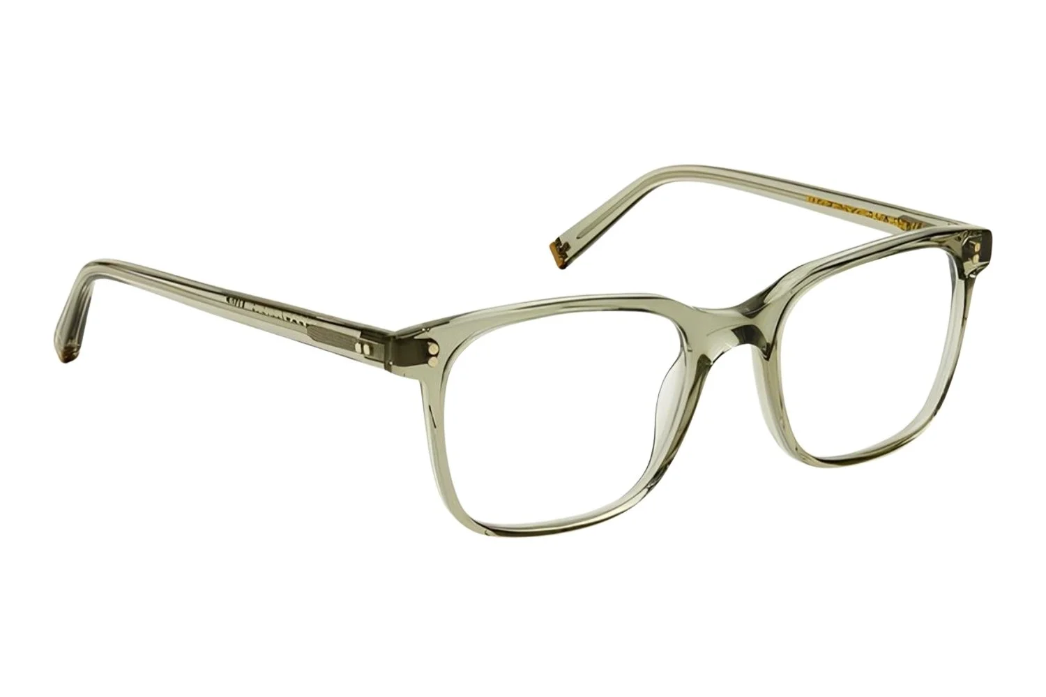 Moscot Travis Sage 50 1900-01