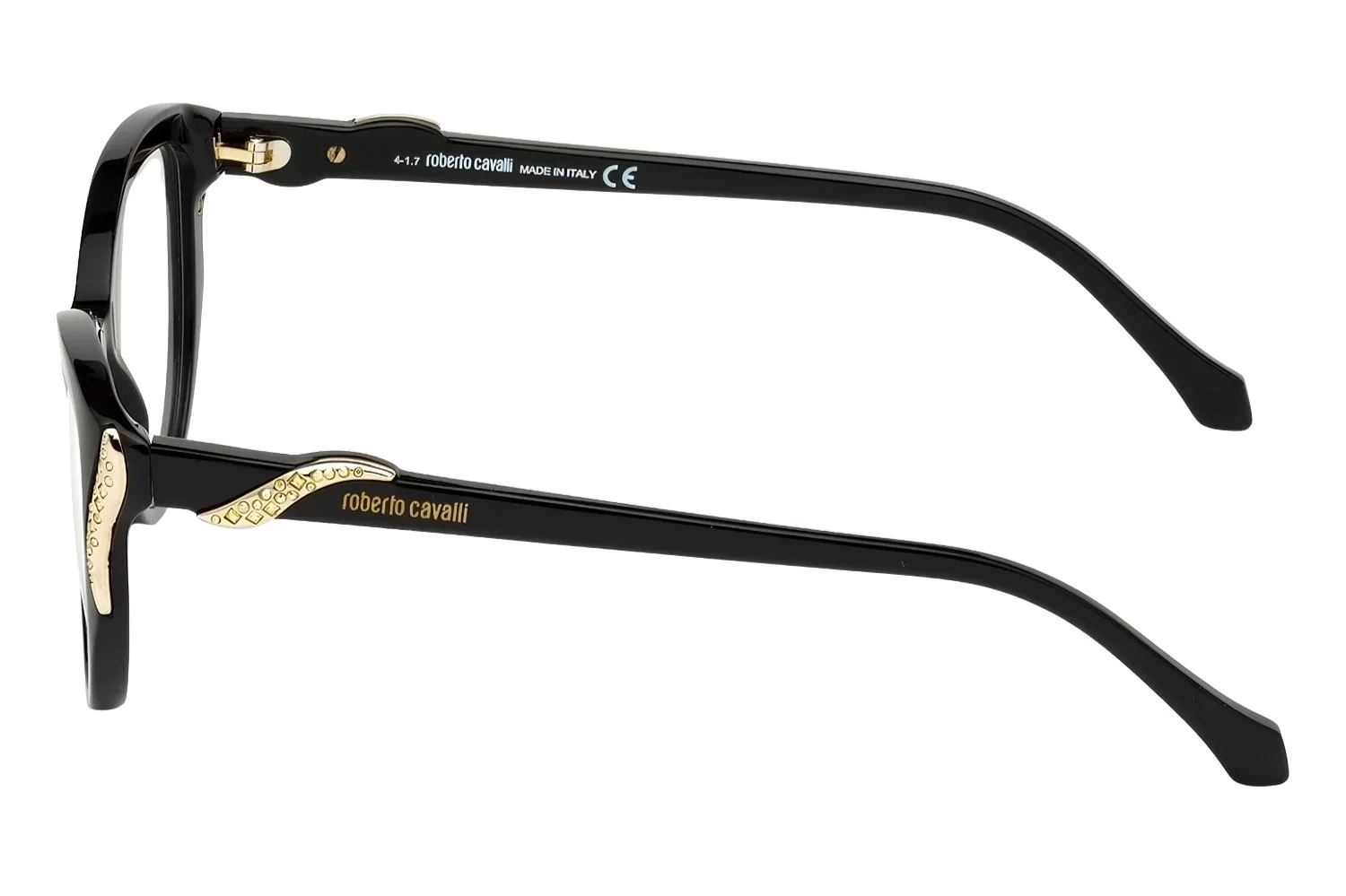 Roberto Cavalli 5055 001 53